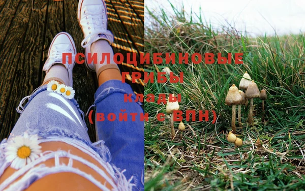 PSILOCYBIN Краснослободск
