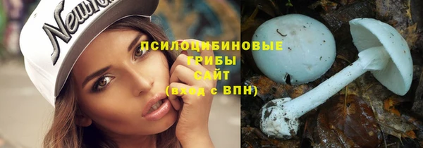 PSILOCYBIN Краснослободск