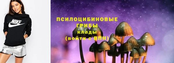 apvp Красноперекопск