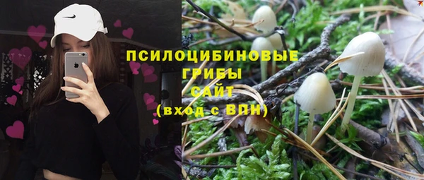 apvp Красноперекопск