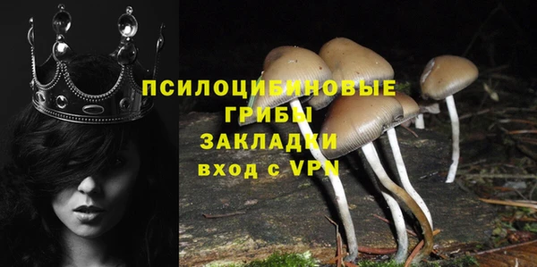 PSILOCYBIN Краснослободск