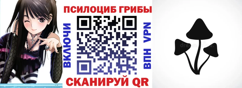 дарнет шоп нарко площадка какой сайт Галлюциногенные грибы MAGIC MUSHROOMS Мегион